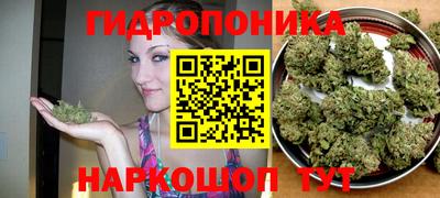 ПСИЛОЦИБИНОВЫЕ ГРИБЫ Новокубанск